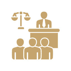 Immigration law icon